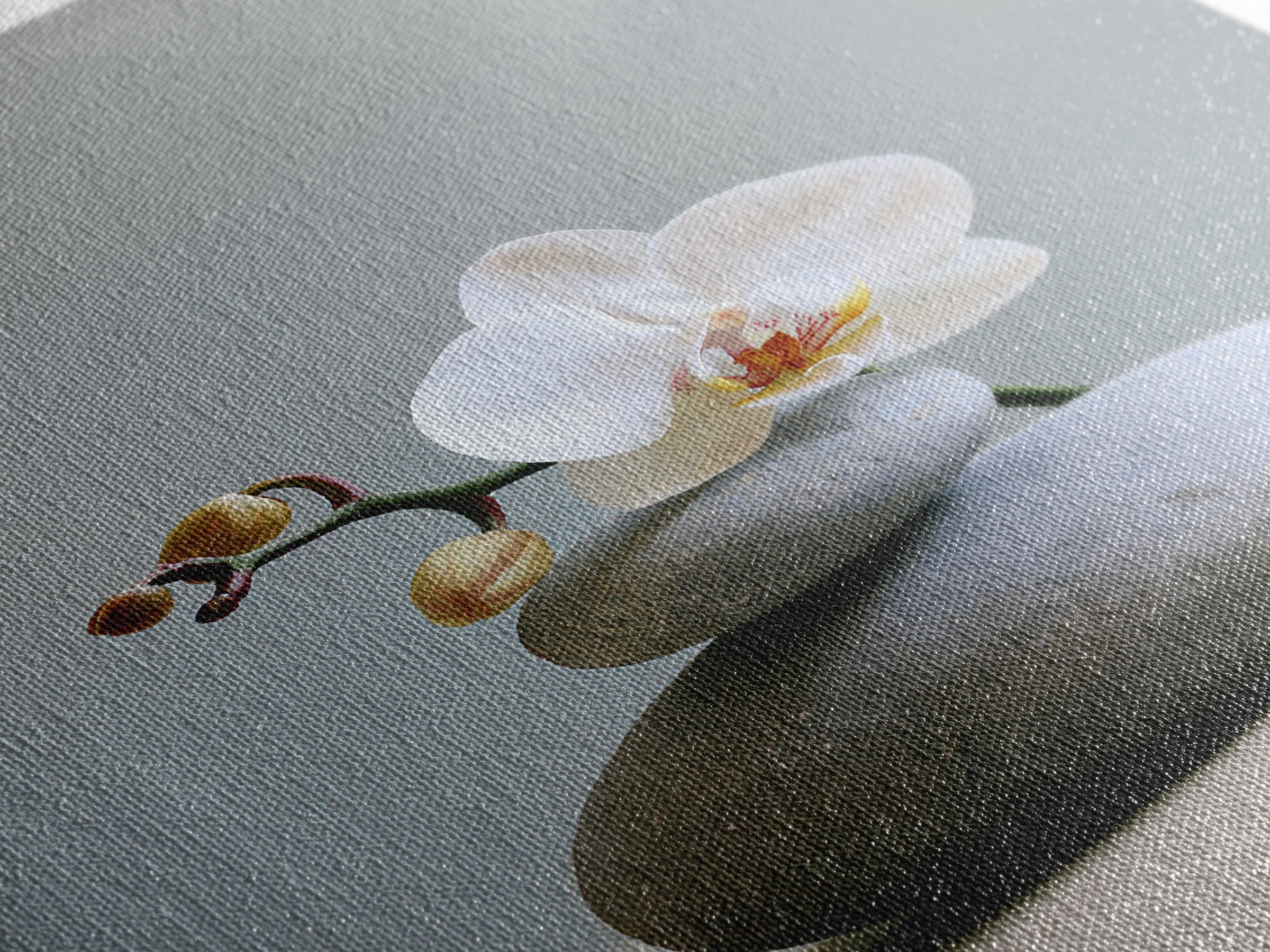 White Orchid on Smooth Gray Stone Canvas Print, Spa Art, Minimalist Decor, Spa Decor, Fine Art, Serenity, Contemporary Art, SPA-2x3-10