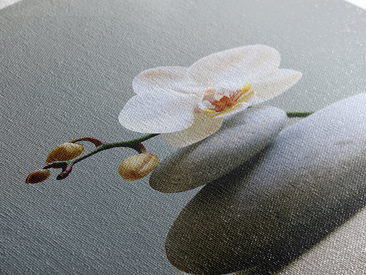 White Orchid on Smooth Gray Stone Canvas Print, Spa Art, Minimalist Decor, Spa Decor, Fine Art, Serenity, Contemporary Art, SPA-2x3-10