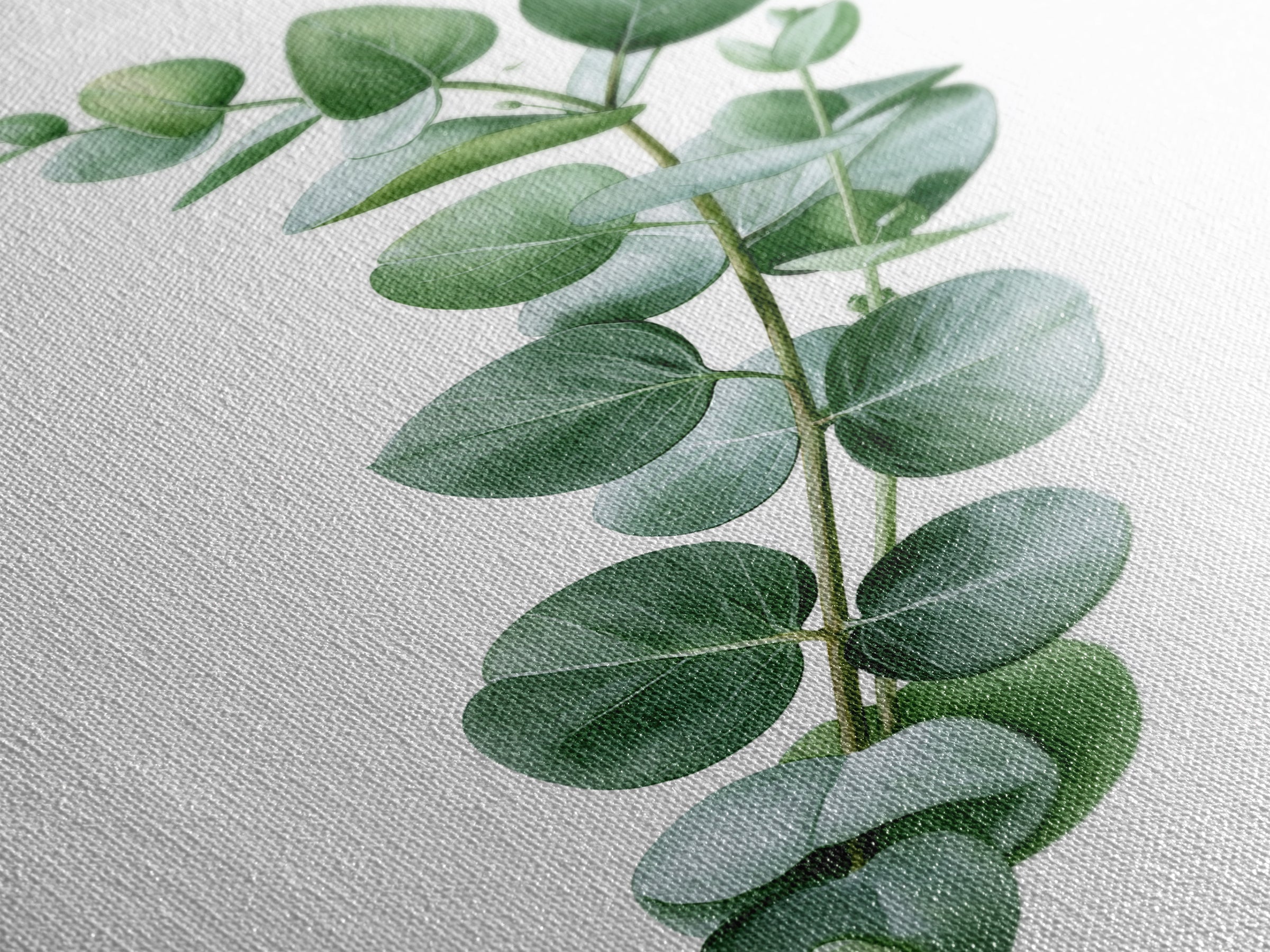 Eucalyptus Branch in Soft Green Watercolor Canvas Print, Spa Art, Textured Painting, Spa Decor, Serenity, Travel Poster, SPA-2x3-11