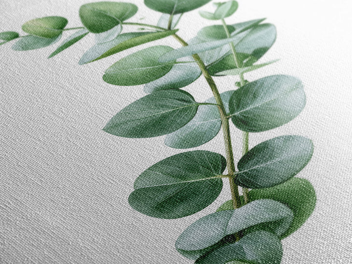 Eucalyptus Branch in Soft Green Watercolor Canvas Print, Spa Art, Textured Painting, Spa Decor, Serenity, Travel Poster, SPA-2x3-11