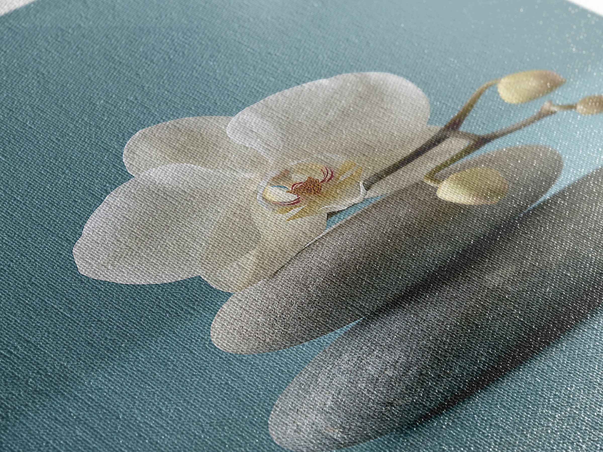 White Orchid on Smooth Gray Stone Framed Canvas Print, Spa Art, Printable Art, Spa Decor, Serenity, Fine Art Photography, SPA-2x3-34
