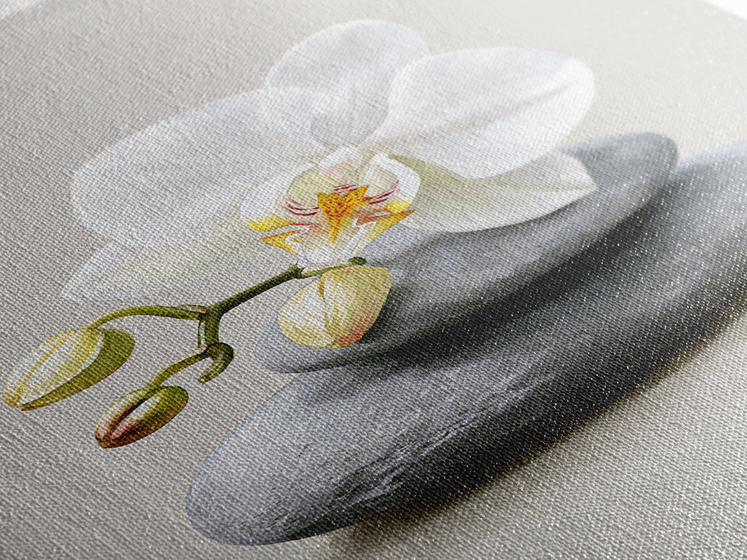 White Orchid on Smooth Gray Stone Canvas Print, Spa Art, Abstract, Spa Decor, Fine Art, Serenity, City Art, Spa Wall Art, SPA-2x3-58