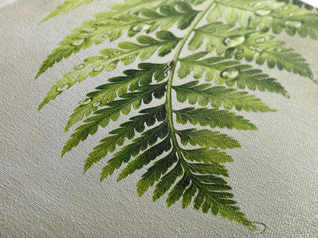 Fern Leaf Closeup Canvas Print, Spa Art, Feminine Wall Art, Spa Decor, Serenity, Hair Salon Wall Art, Wildlife Wall Art, SPA-2x3-67