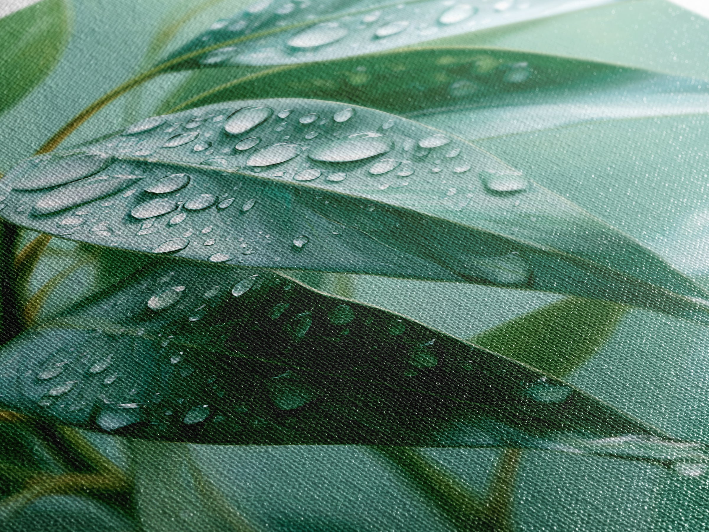 Rain on Leaves Canvas Print, Spa Art, Animal Art, Spa Decor, Fine Art, Serenity, Gallery Decor, Neutral Decor, Modern Decor, SPA-2x3-96