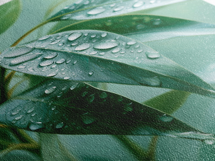 Rain on Leaves Canvas Print, Spa Art, Animal Art, Spa Decor, Fine Art, Serenity, Gallery Decor, Neutral Decor, Modern Decor, SPA-2x3-96