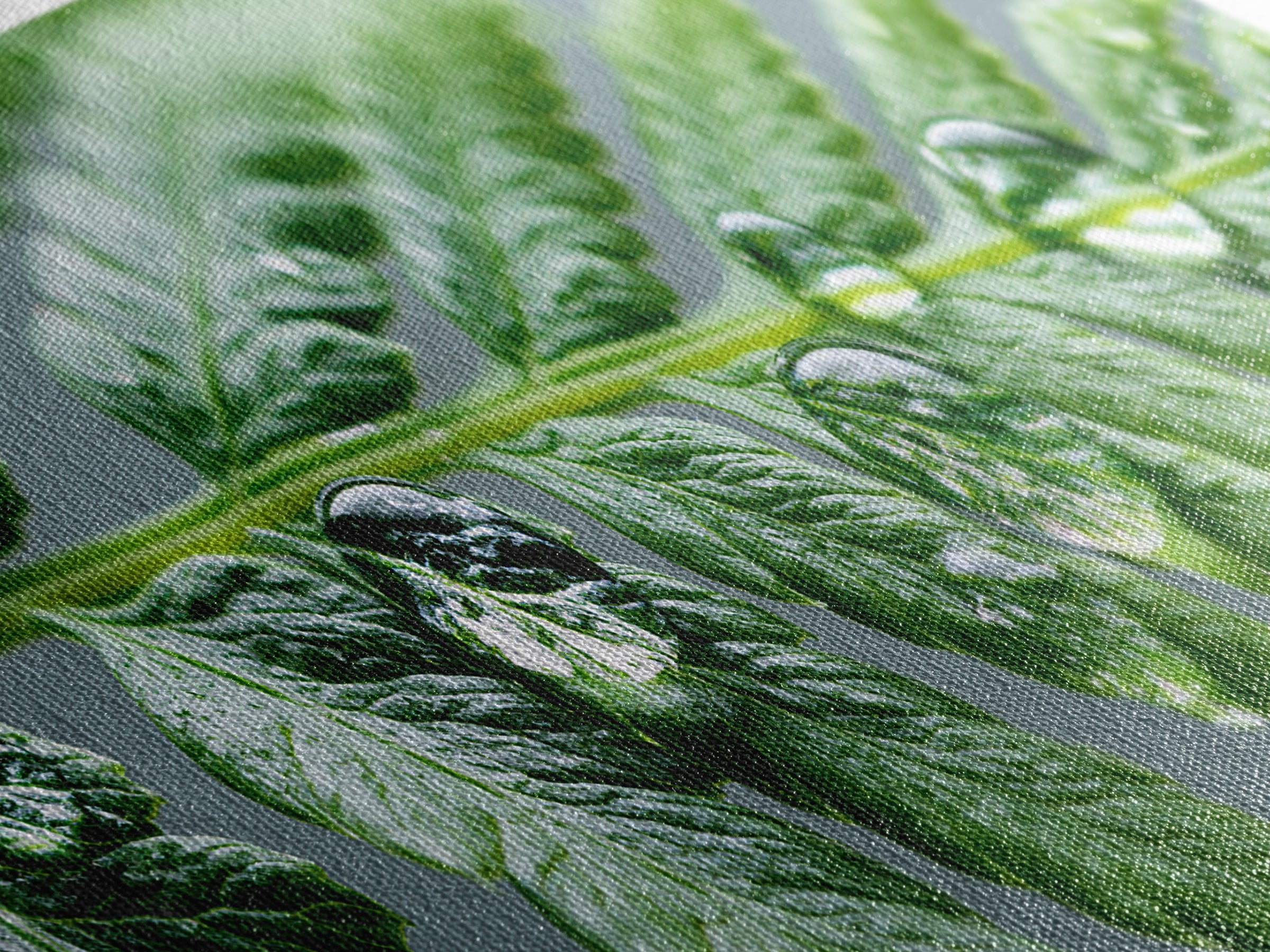 Fern Leaf Closeup Framed Canvas Print, Spa Art, Room Decor, Spa Decor, Fine Art, Serenity, Nature Prints, Travel Poster, SPA-3x1-27