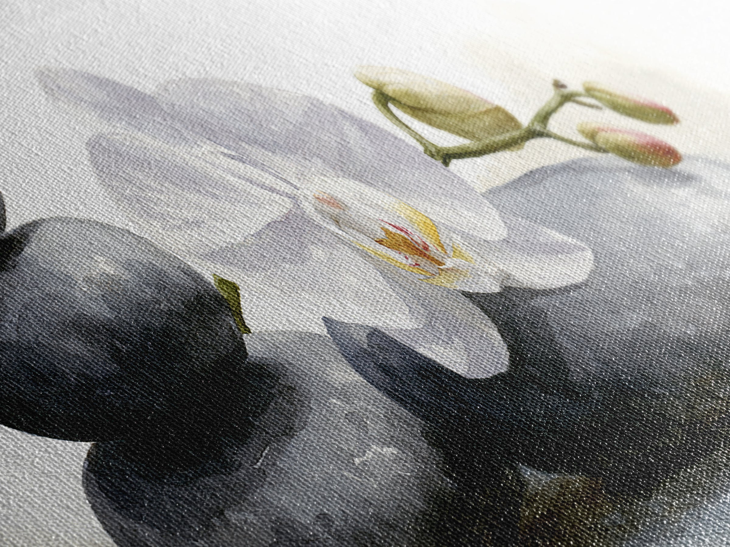 White Orchid on Smooth Gray Stone Canvas Print, Spa Art, Modern Home Decor, Spa Decor, Fine Art, Serenity, Neutral Decor, SPA-3x1-42