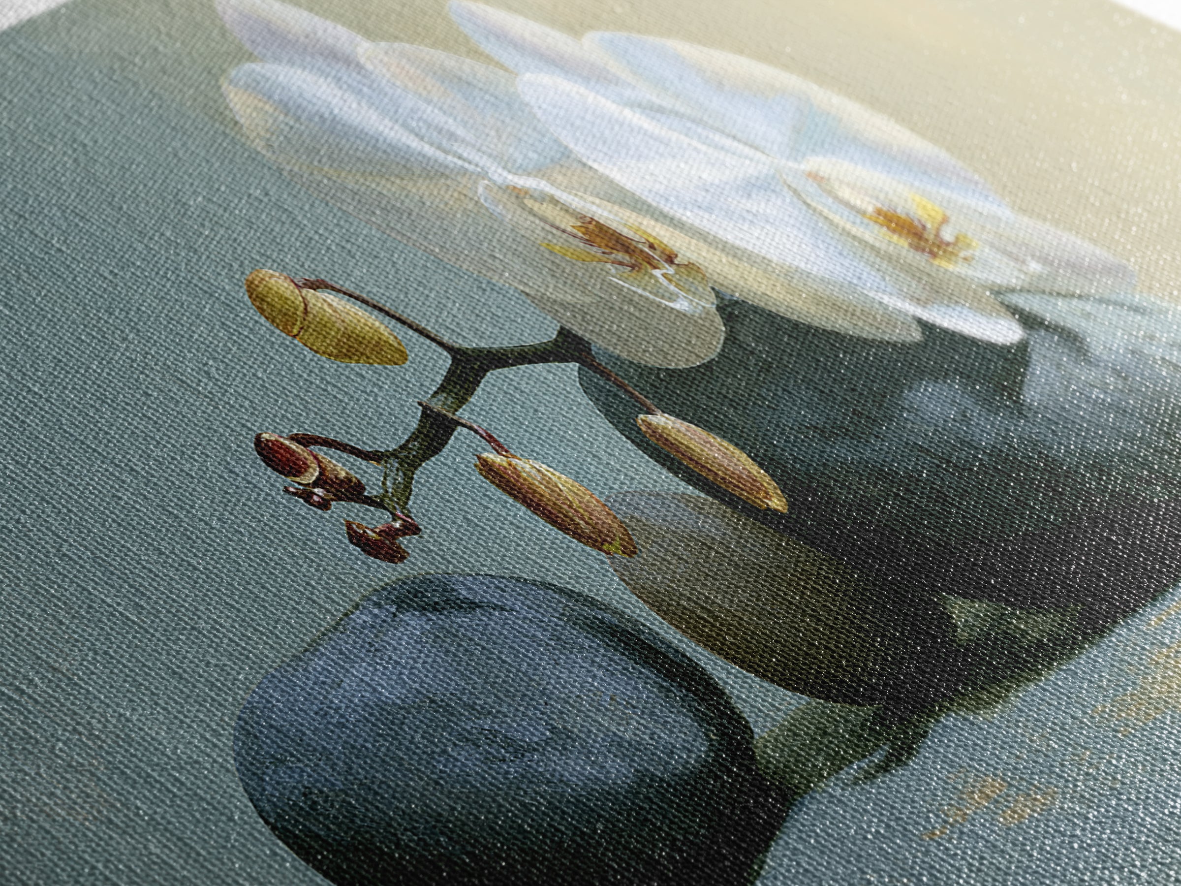 White Orchid on Smooth Gray Stone Canvas Print, Spa Art, Modern Home Decor, Spa Decor, Fine Art, Serenity, Neutral Decor, SPA-3x1-66