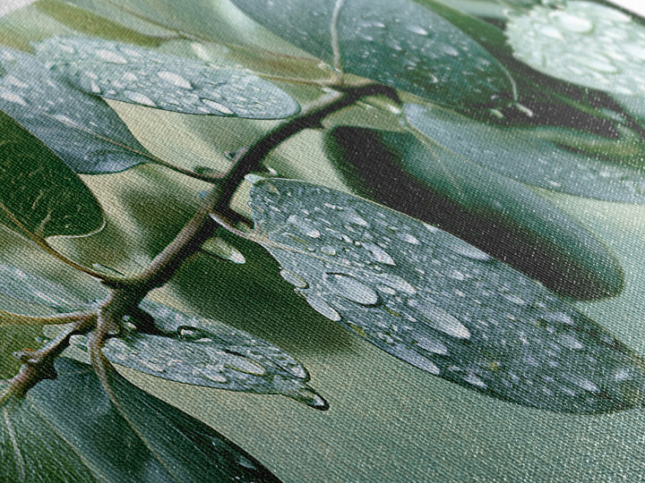 Rain on Leaves Canvas Print, Spa Art, Printable Wall Art, Spa Decor, Serenity, Feminine Wall Art, Fine Art Photography, SPA-3x1-80