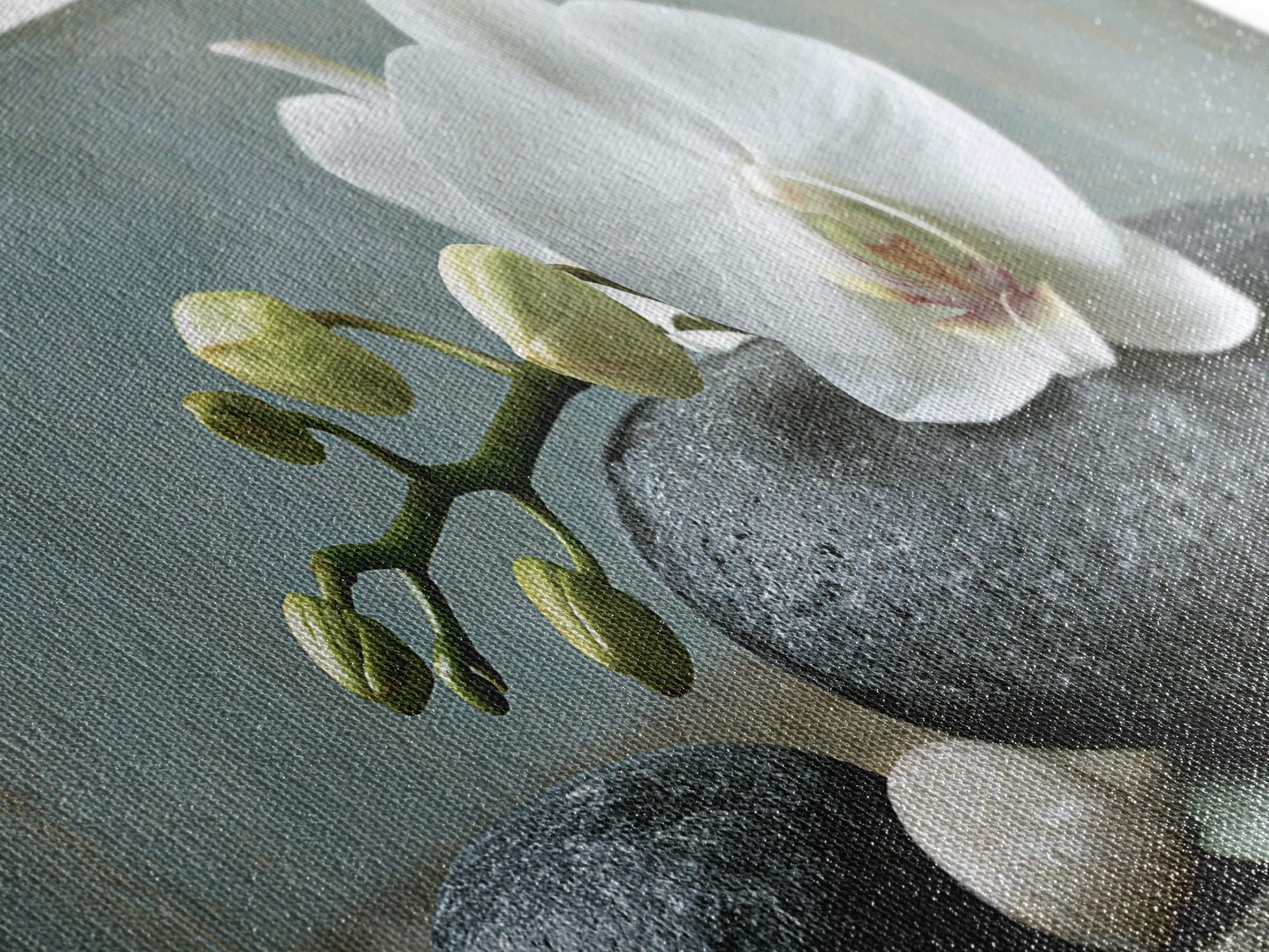 White Orchid on Smooth Gray Stone Framed Canvas Print, Spa Art, Teen Girl Room Decor, Spa Decor, Serenity, Luxury Decor, SPA-3x1-90