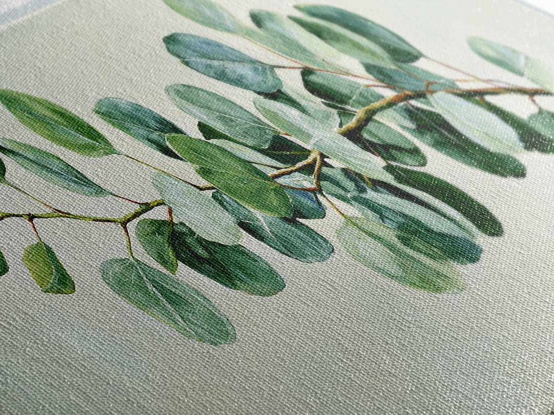 Eucalyptus Branch in Soft Green Watercolor Canvas Print, Spa Art, Wall Art Print, Spa Decor, Fine Art, Serenity, Animal Art, SPA-3x1-91