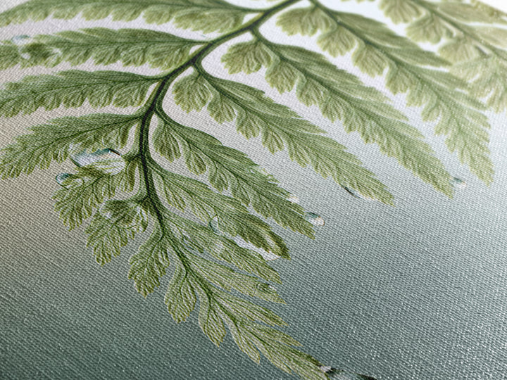 Fern Leaf Closeup Framed Canvas Print, Spa Art, Salon Decor, Spa Decor, Oil Painting, Serenity, Statement Artwork, Boho Decor, SPA-3x2-63