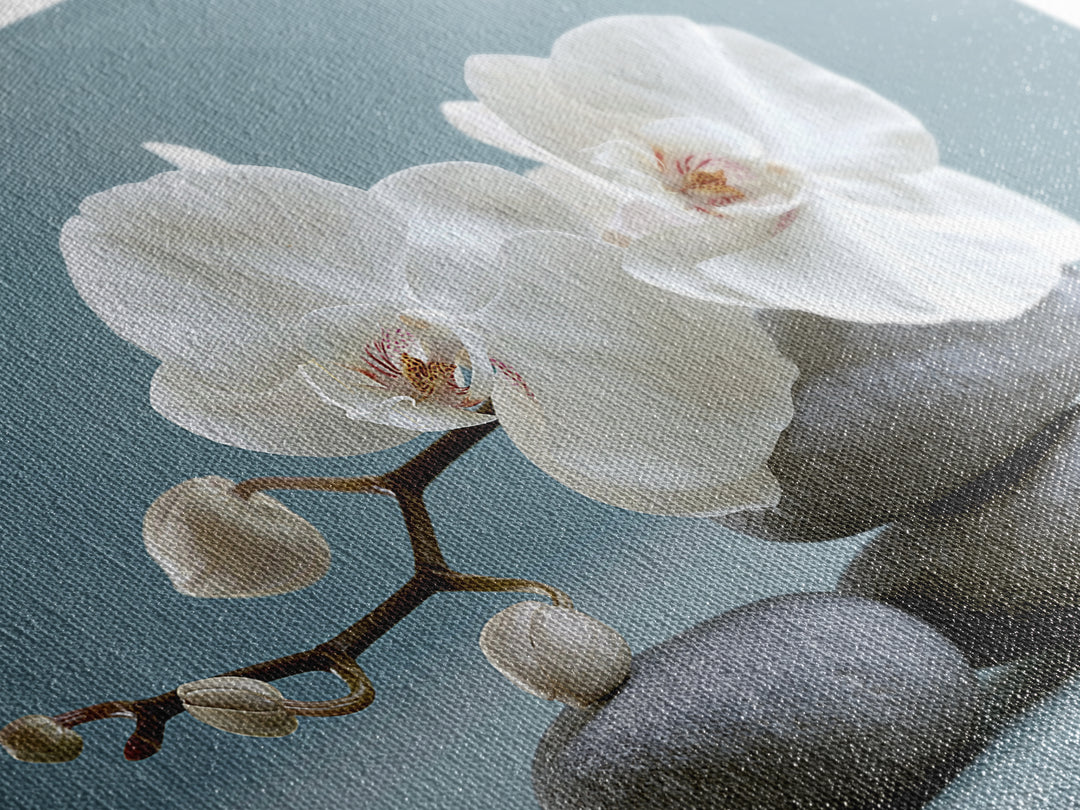 White Orchid on Smooth Gray Stone Framed Canvas Print, Spa Art, Tarot Card Art, Spa Decor, Fine Art, Serenity, SPA-3x2-78