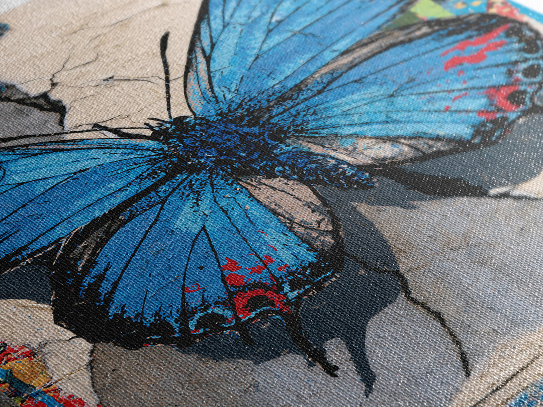 Spray Painted Butterfly on Cracked Concrete Framed Canvas Print, Street Art, Canvas, Living Room Decor, Fine Art, Urban, STR-2x3-55