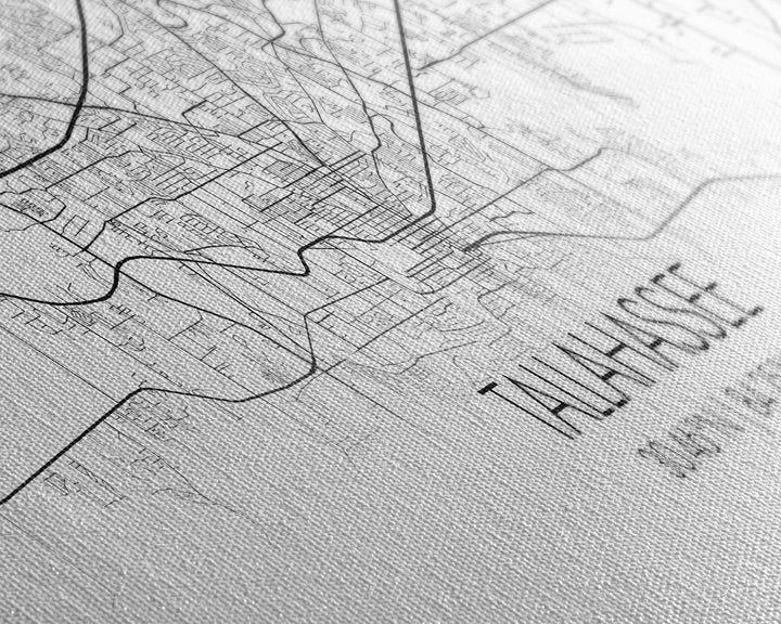 Panoramic Tallahassee City Map, Florida Art, Map Print, Minimalist Wall Art, Canvas Art, Housewarming Gift, Street Map Art, Closing Gift