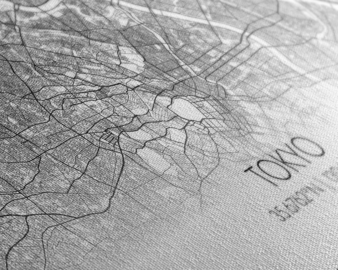 Tokyo City Map, Japan Art, Map Print, Modern Wall Art, Wall Art, Canvas Art, Asian Art Print, Gift For Coworker, Office Wall Art, Wall Décor