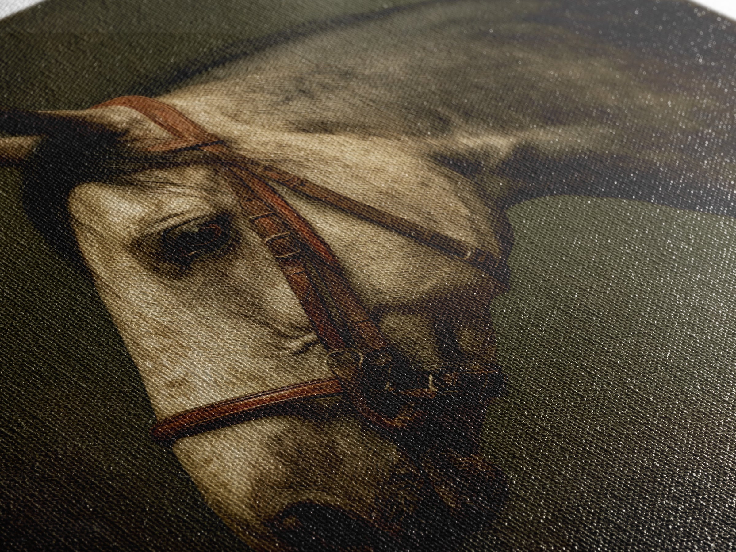 Realistic Horse Portrait Framed Canvas Print, Traditional Art, Dark Art, Living Room Decor, Oil Painting, Classic, TRA-1x1-51