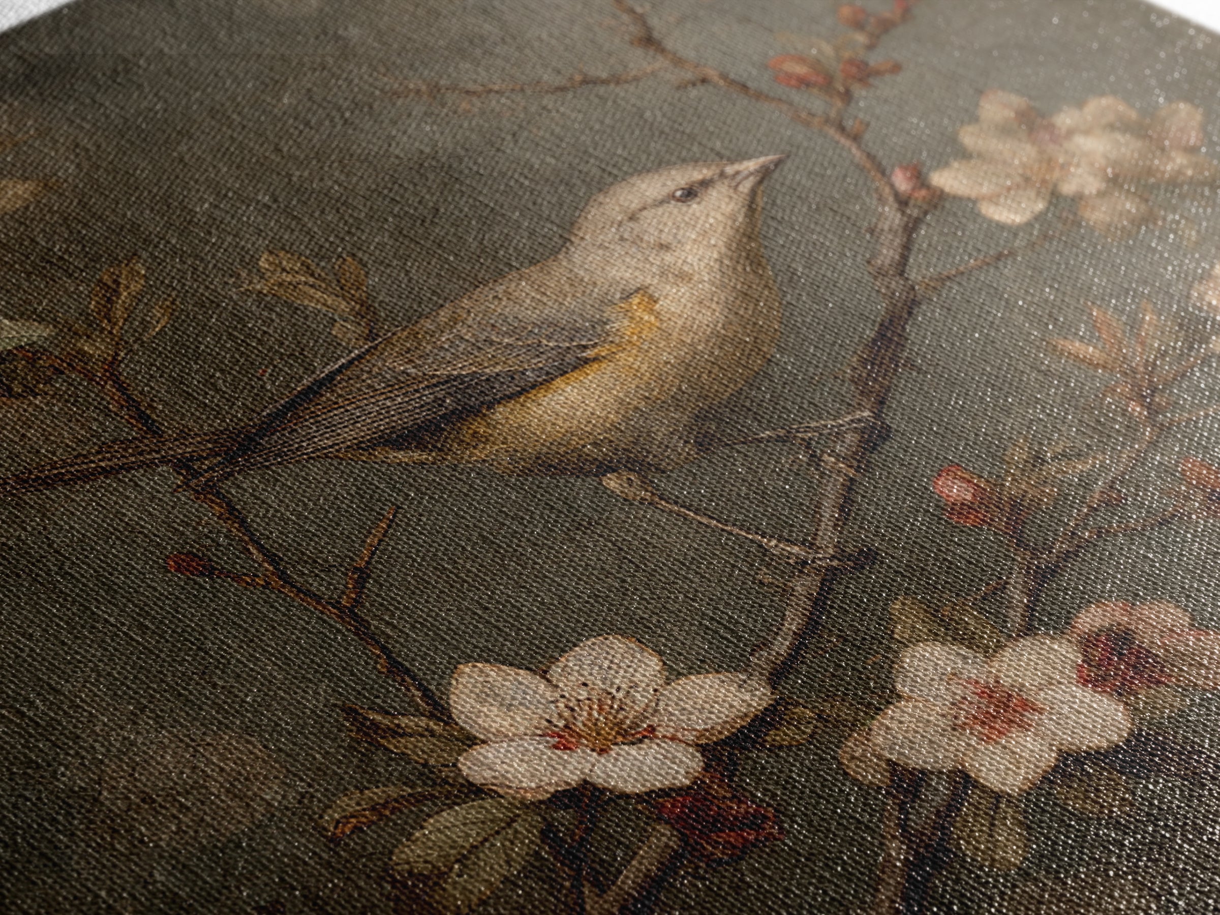Bird Study on a Flowering Branch Framed Canvas Print, Traditional Art, Pokemon Poster, Living Room Decor, Fine Art, Classic, TRA-1x1-58