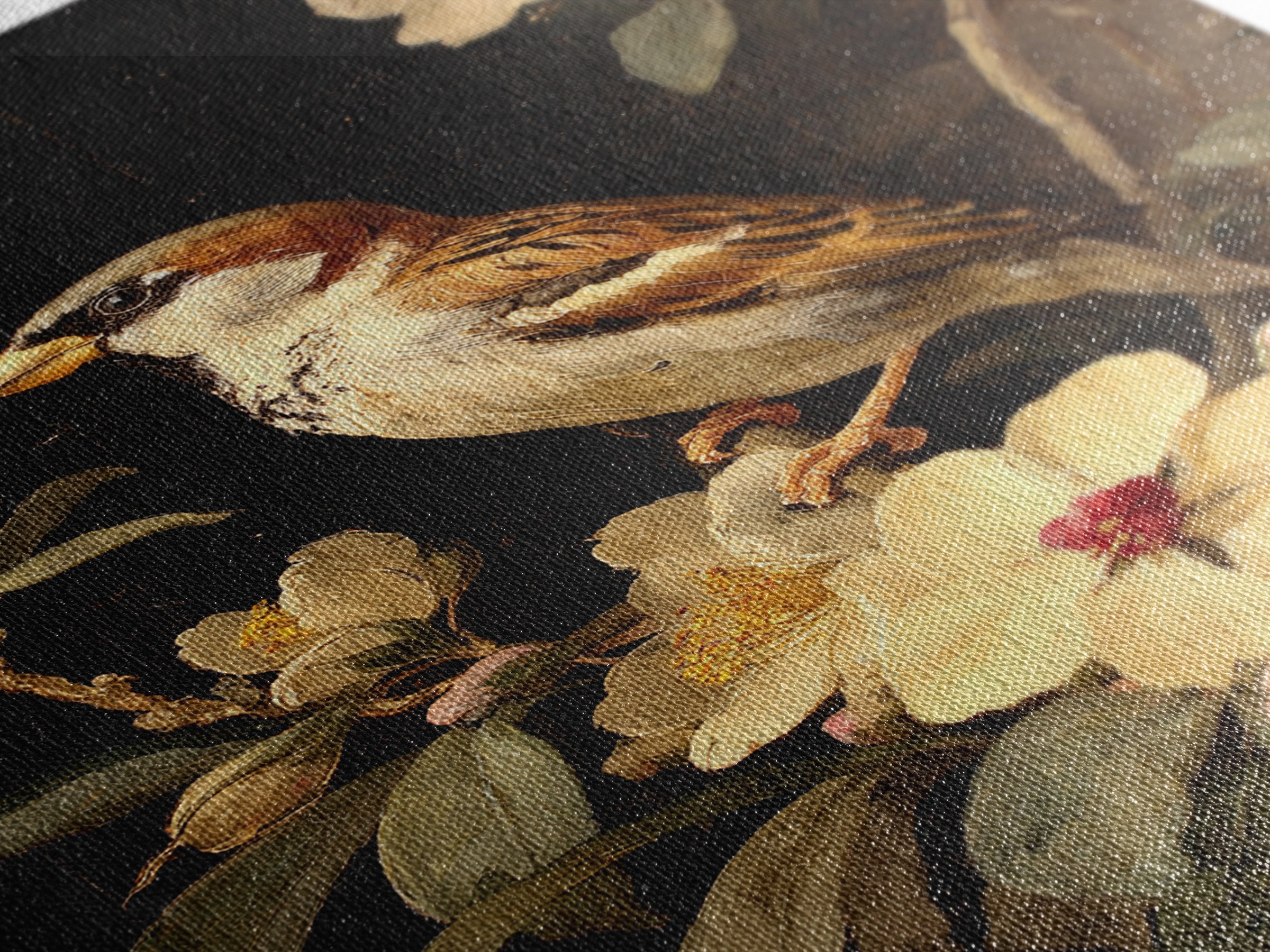 Bird Study on a Flowering Branch Framed Canvas Print, Traditional Art, Artwork, Living Room Decor, Oil Painting, Classic, TRA-2x3-90