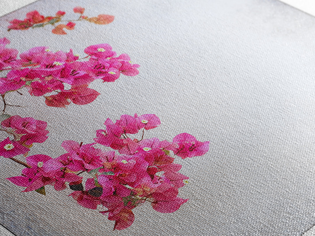 Pink Bougainvillea over White Wall Framed Canvas Print, Tropical Art, Room Decor, Living Room Decor, Fine Art, Tropic, TRO-1x1-40