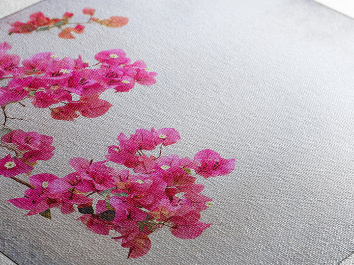 Pink Bougainvillea over White Wall Framed Canvas Print, Tropical Art, Room Decor, Living Room Decor, Fine Art, Tropic, TRO-1x1-40