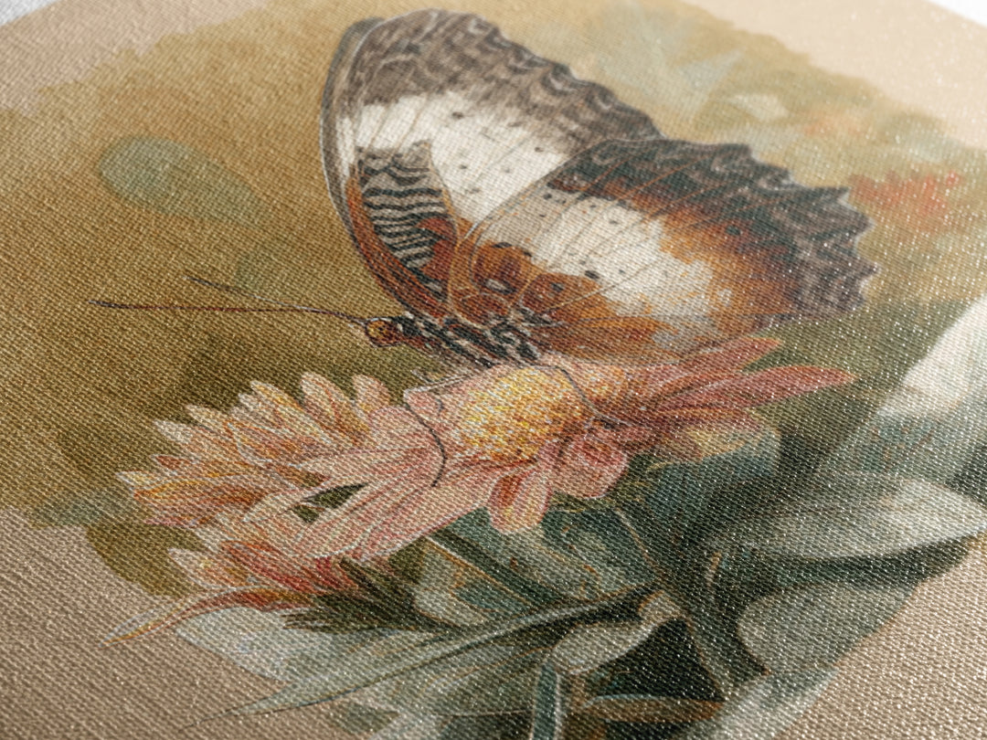 Tropical Butterfly and Flower Study Framed Canvas Print, Tropical Art, Set of 3 Prints, Living Room Decor, Fine Art, Tropic, TRO-1x1-47