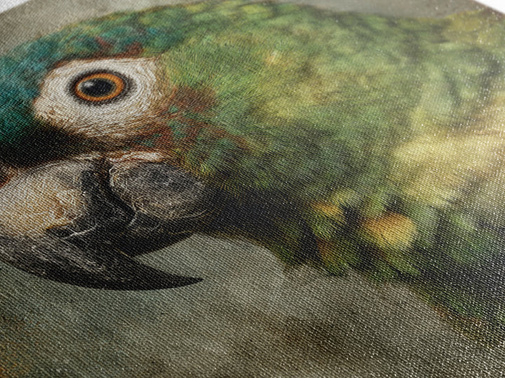 Parrot Portrait with Emerald Feathers Framed Canvas Print, Tropical Art, Digital Print, Living Room Decor, Fine Art, Tropic, TRO-1x1-56