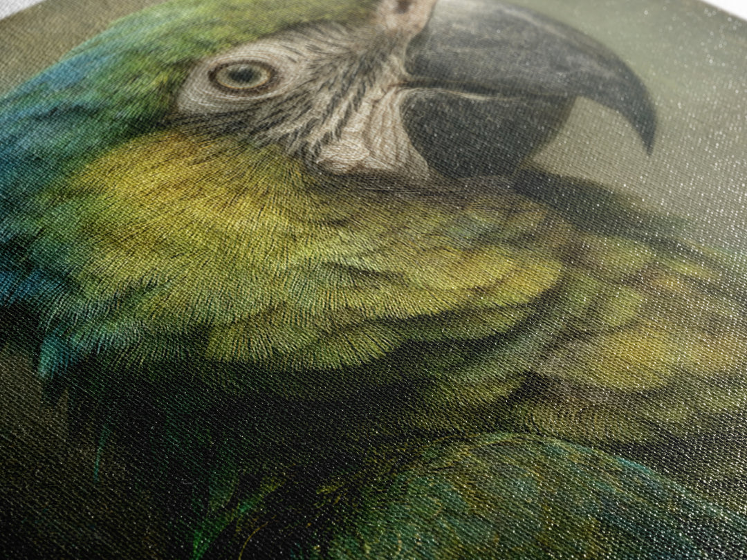 Parrot Portrait with Emerald Feathers Framed Canvas Print, Tropical Art, Fine Art Print, Living Room Decor, Oil Painting, TRO-1x1-80