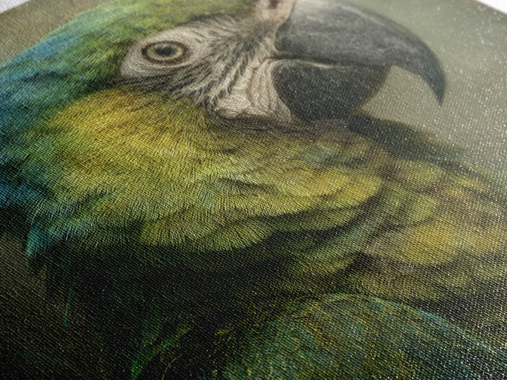 Parrot Portrait with Emerald Feathers Framed Canvas Print, Tropical Art, Fine Art Print, Living Room Decor, Oil Painting, TRO-1x1-80