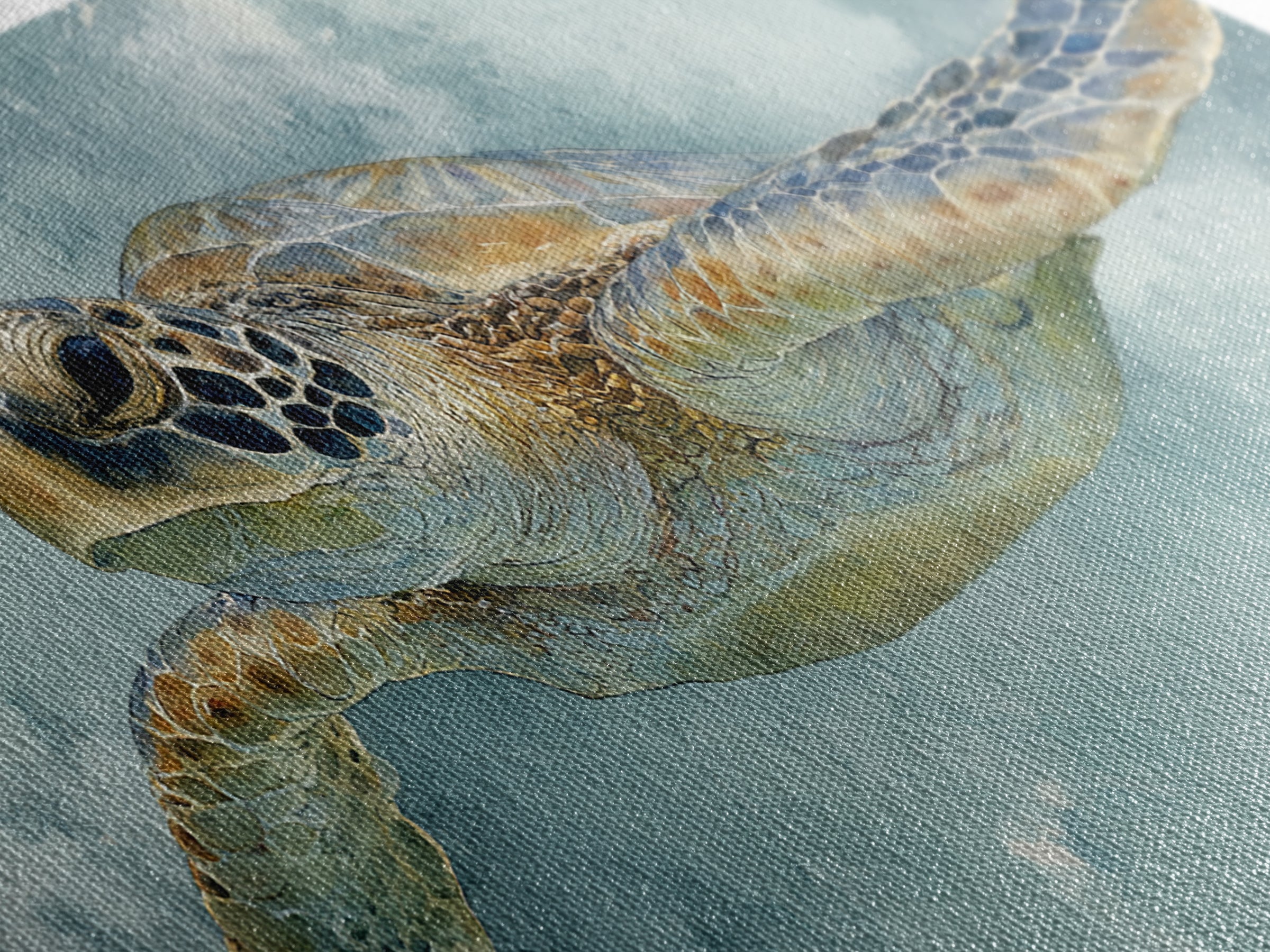 Sea Turtle Near Tropical Reef Canvas Print, Tropical Art, Abstract Painting, Living Room Decor, Fine Art, Tropic, Gallery Decor, TRO-2x1-63