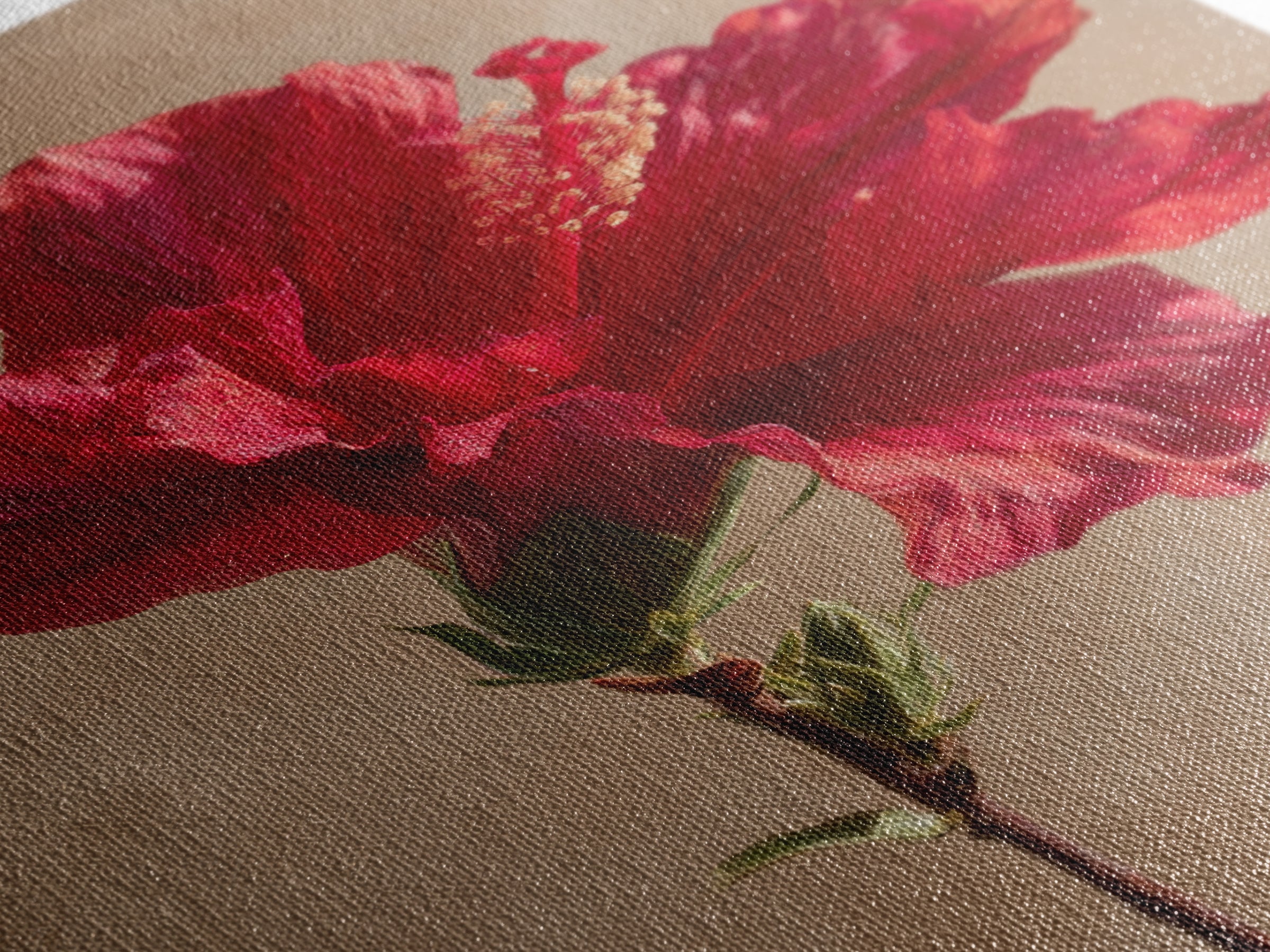 Hibiscus Flower Closeup Framed Canvas Print, Tropical Art, Digital Print, Living Room Decor, Tropic, Downloadable Prints, TRO-2x3-13