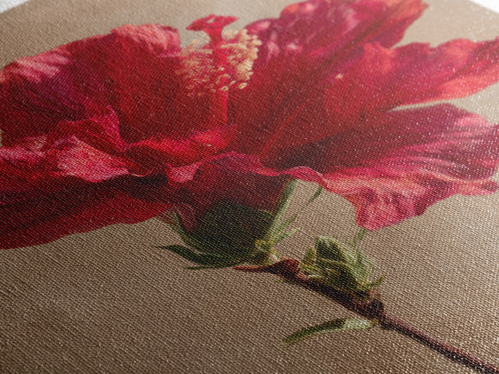 Hibiscus Flower Closeup Framed Canvas Print, Tropical Art, Digital Print, Living Room Decor, Tropic, Downloadable Prints, TRO-2x3-13