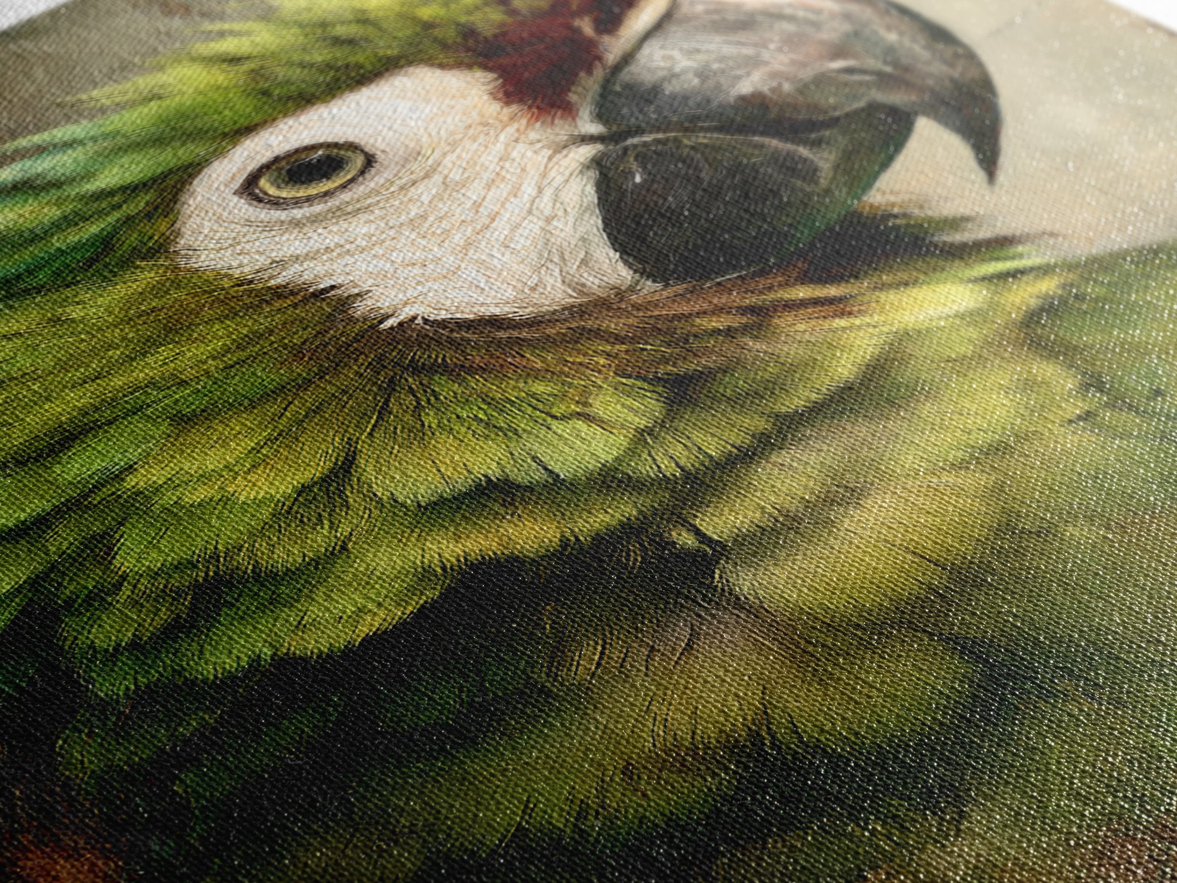 Parrot Portrait with Emerald Feathers Canvas Print, Tropical Art, Gallery Decor, Living Room Decor, Fine Art, Tropic, TRO-2x3-16