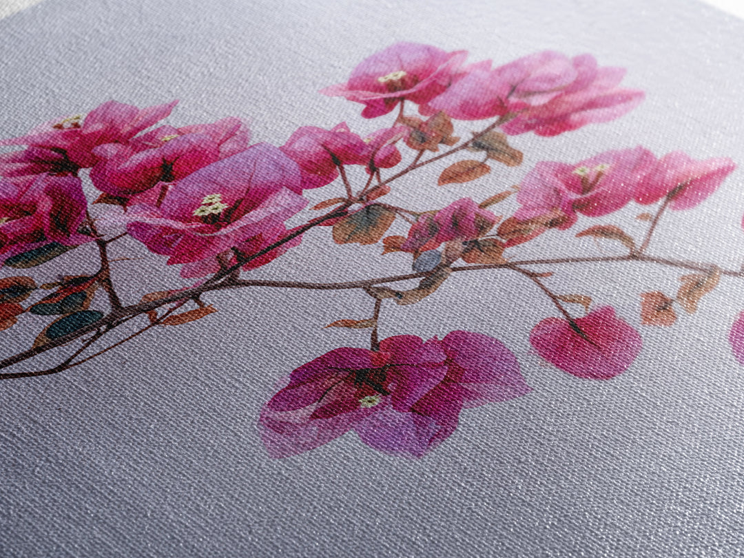 Pink Bougainvillea over White Wall Framed Canvas Print, Tropical Art, Modern Decor, Living Room Decor, Fine Art, Tropic, TRO-2x3-24