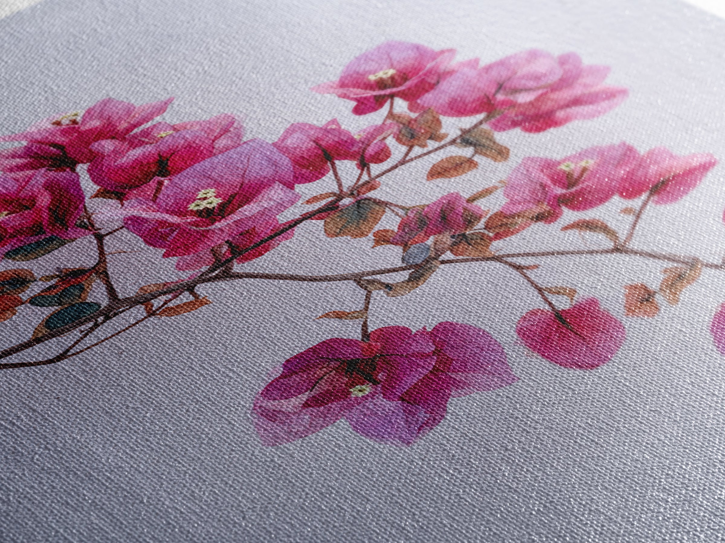 Pink Bougainvillea over White Wall Framed Canvas Print, Tropical Art, Modern Decor, Living Room Decor, Fine Art, Tropic, TRO-2x3-24