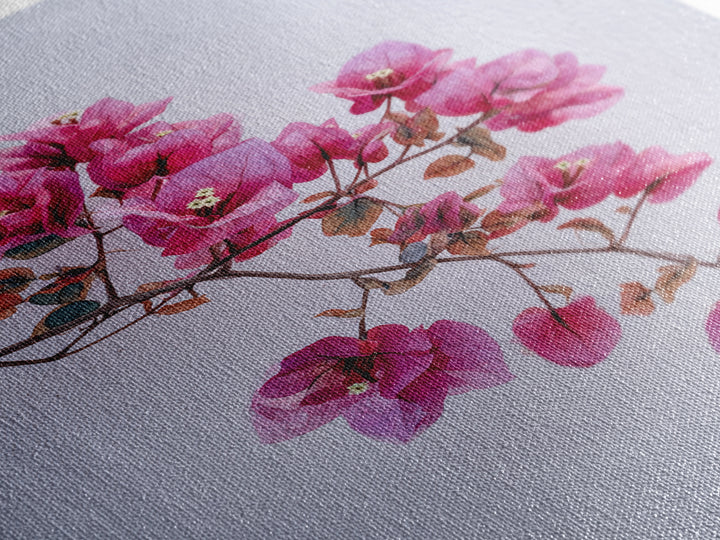 Pink Bougainvillea over White Wall Framed Canvas Print, Tropical Art, Modern Decor, Living Room Decor, Fine Art, Tropic, TRO-2x3-24