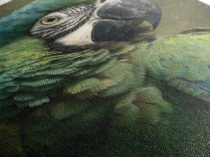 Parrot Portrait with Emerald Feathers Canvas Print, Tropical Art, Contemporary Art, Living Room Decor, Fine Art, Tropic, TRO-2x3-40