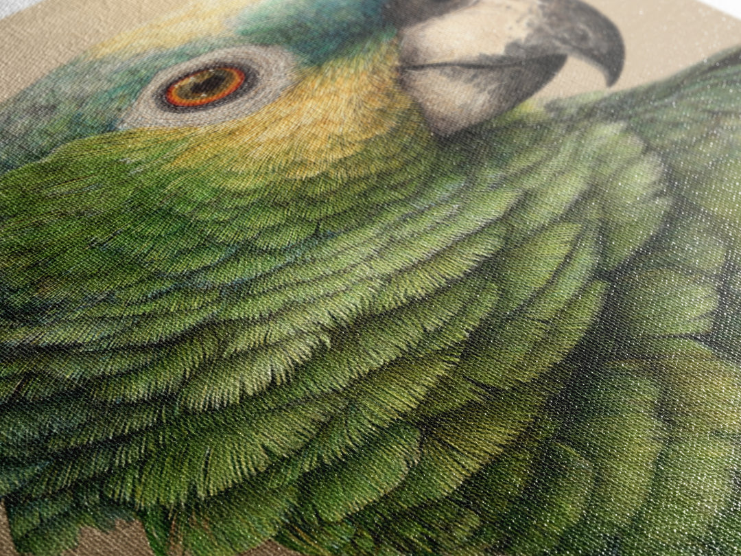 Parrot Portrait with Emerald Feathers Framed Canvas Print, Tropical Art, Print, Living Room Decor, Oil Painting, Tropic, TRO-2x3-64