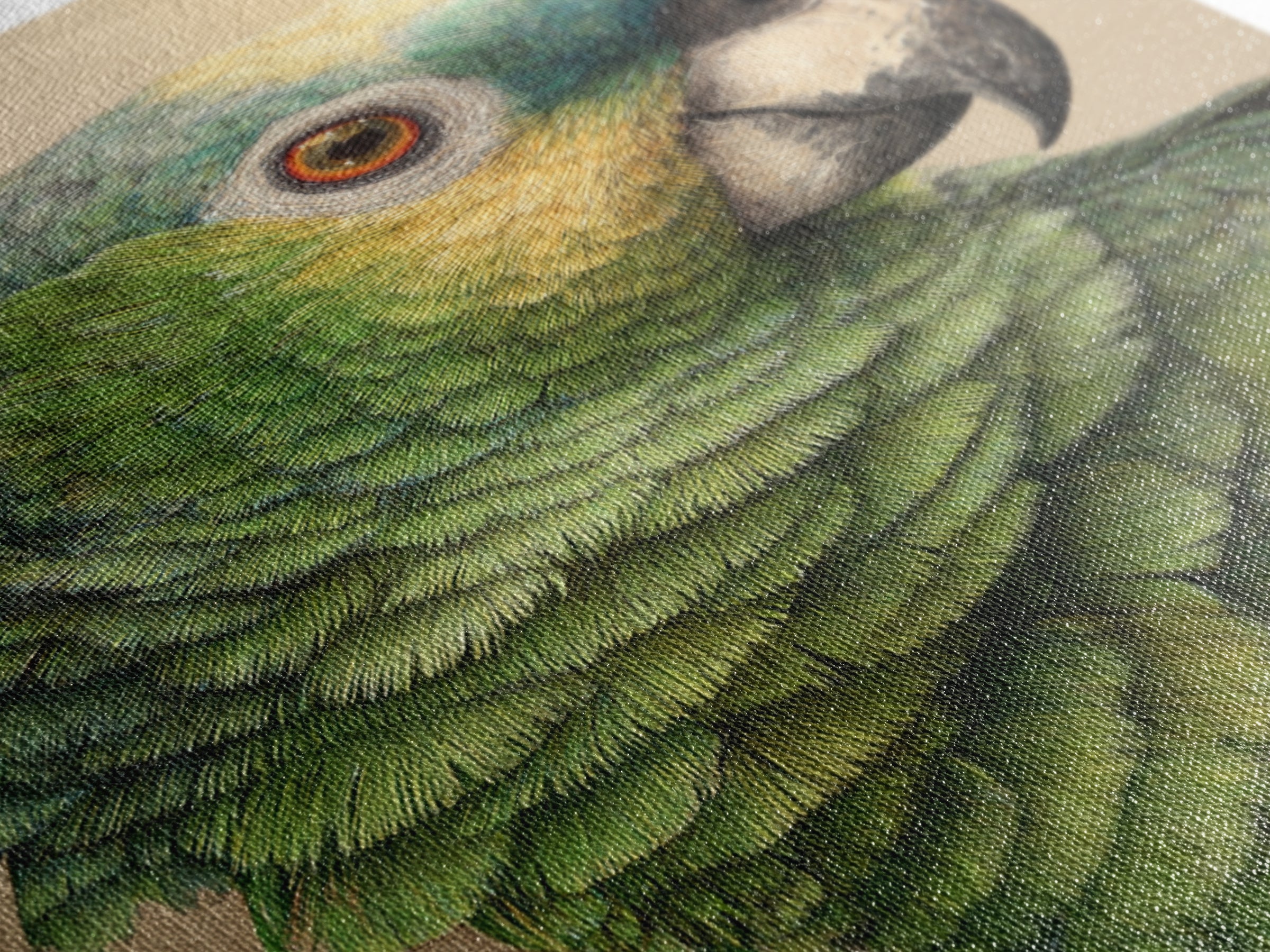 Parrot Portrait with Emerald Feathers Framed Canvas Print, Tropical Art, Print, Living Room Decor, Oil Painting, Tropic, TRO-2x3-64
