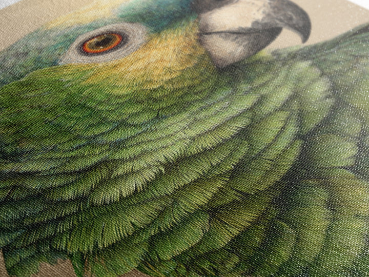 Parrot Portrait with Emerald Feathers Framed Canvas Print, Tropical Art, Print, Living Room Decor, Oil Painting, Tropic, TRO-2x3-64