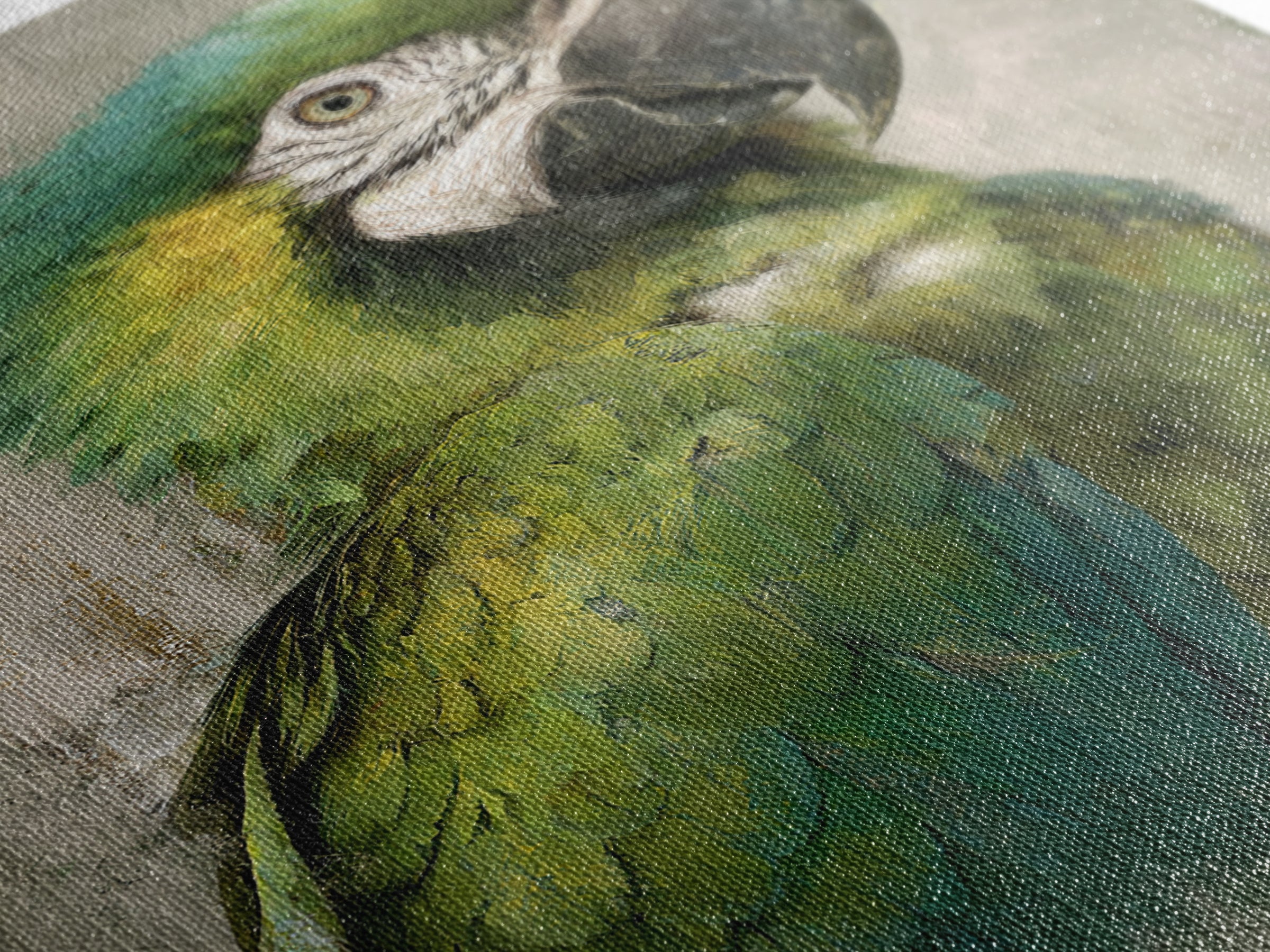 Parrot Portrait with Emerald Feathers Framed Canvas Print, Tropical Art, Set of 3 Prints, Living Room Decor, Fine Art, Tropic, TRO-2x3-88