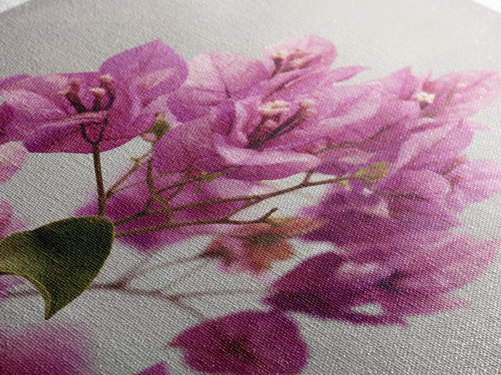 Pink Bougainvillea over White Wall Canvas Print, Tropical Art, Abstract Painting, Living Room Decor, Fine Art, Tropic, TRO-2x3-96