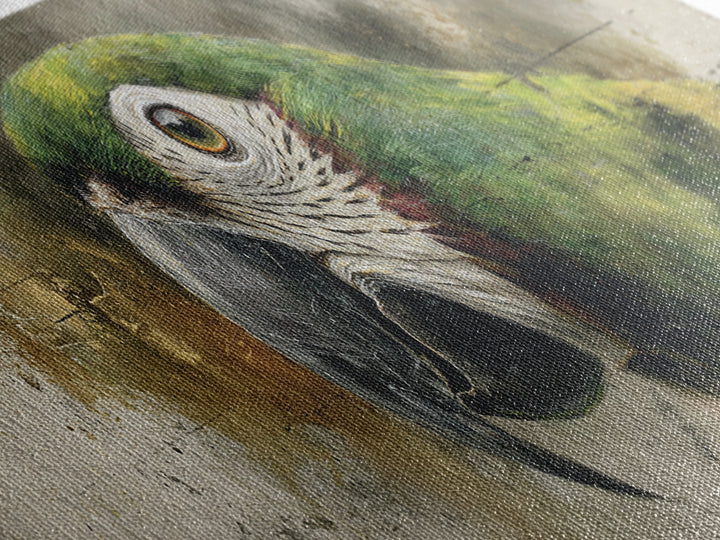 Parrot Portrait with Emerald Feathers Canvas Print, Tropical Art, Textured Painting, Living Room Decor, Fine Art, Tropic, TRO-3x1-48
