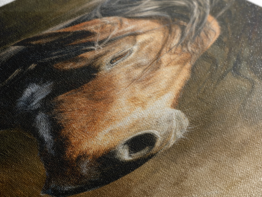 Wild Horse Portrait Canvas Print, Wall Art, Abstract Wall Art, Living Room Decor, Fine Art, Contemporary Art, WAL-1x3-1