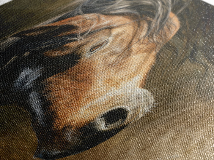 Wild Horse Portrait Canvas Print, Wall Art, Abstract Wall Art, Living Room Decor, Fine Art, Contemporary Art, WAL-1x3-1