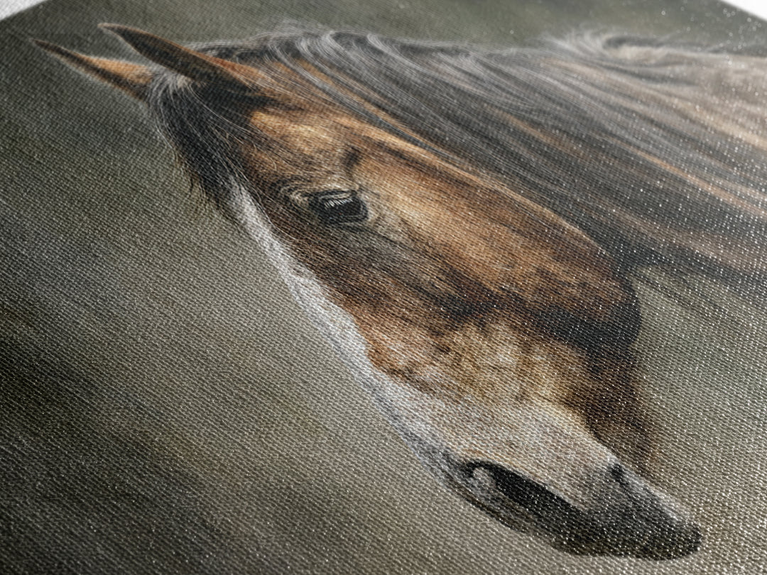 Wild Horse Portrait Canvas Print, Wall Art, Canvas, Living Room Decor, Oil Painting, Canvas Wall Art, Abstract Art, WAL-2x1-57