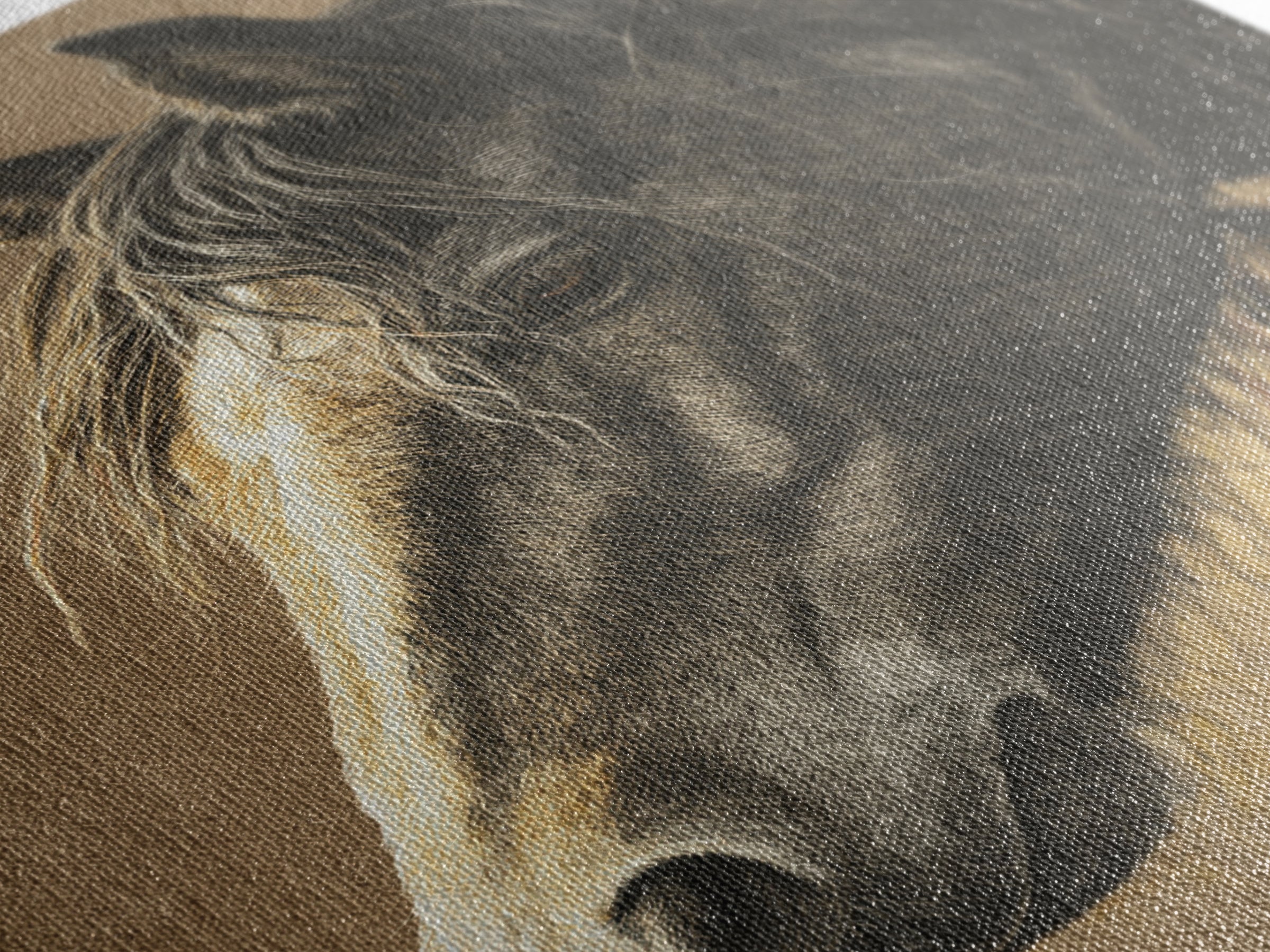 Wild Horse Portrait Canvas Print, Wall Art, Metal Wall Art, Living Room Decor, Fine Art, Digital Print, Wood Wall Art, WAL-2x3-45