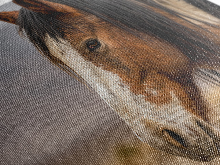 Wild Horse Portrait Framed Canvas Print, Wall Art, Abstract Wall Art, Living Room Decor, Fine Art, Contemporary Art, WAL-3x2-41