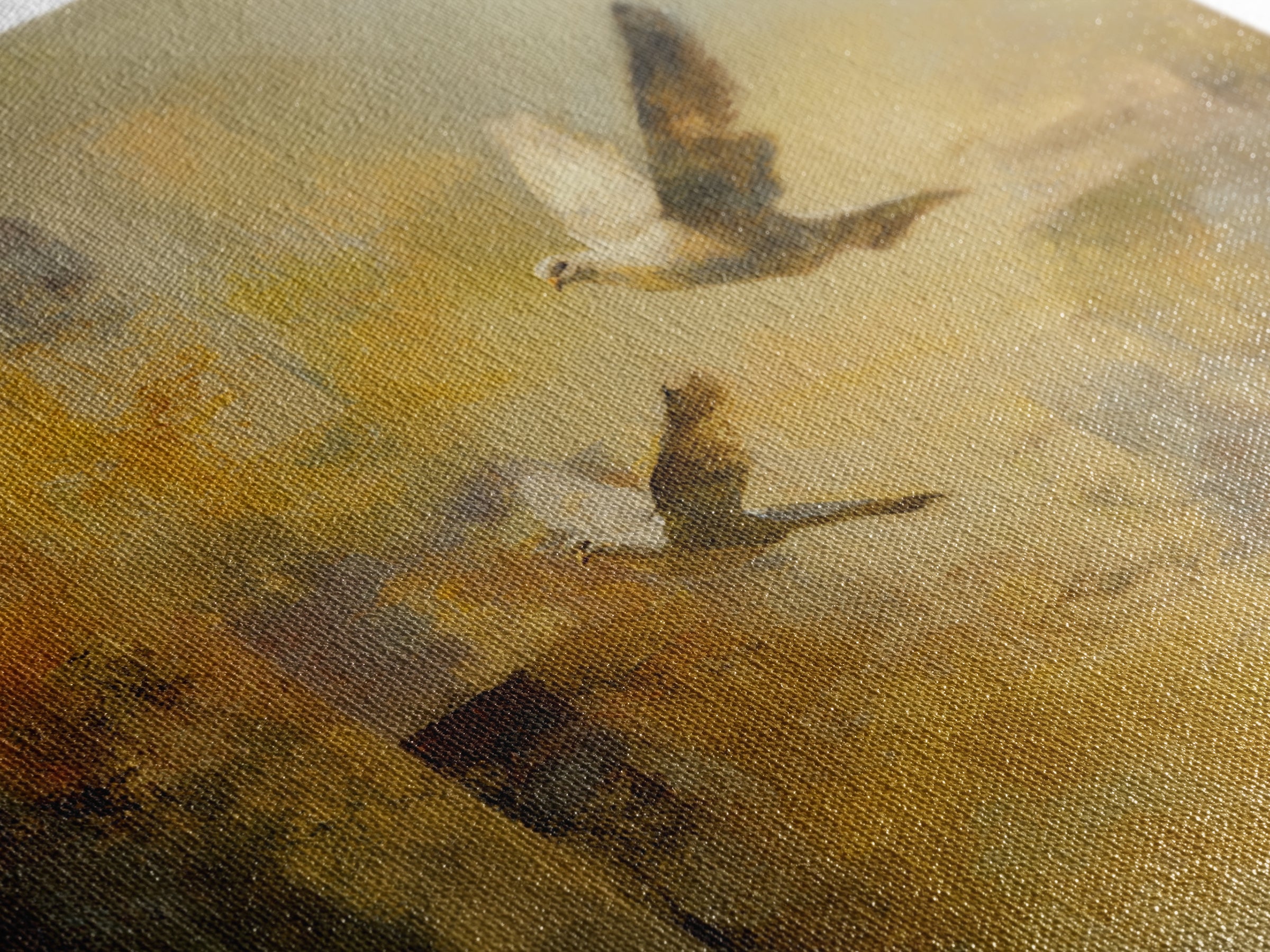 Doves Flying Through Soft Golden Light Canvas Print, Wedding Art, Jewish Art, Living Room Decor, Romance, Personalized Wedding, WED-1x1-35