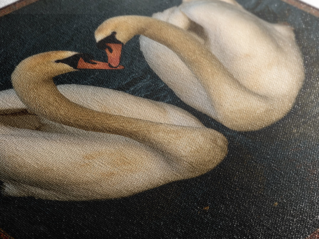 Two Swans Forming a Heart on Dark Canvas Print, Wedding Art, Gallery Decor, Living Room Decor, Fine Art, Romance, WED-1x1-98